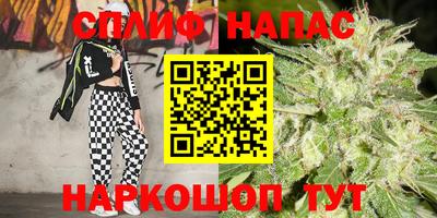 2c-b Гатчина