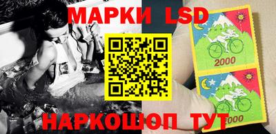 стафф Гай