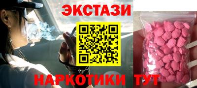 стафф Гай