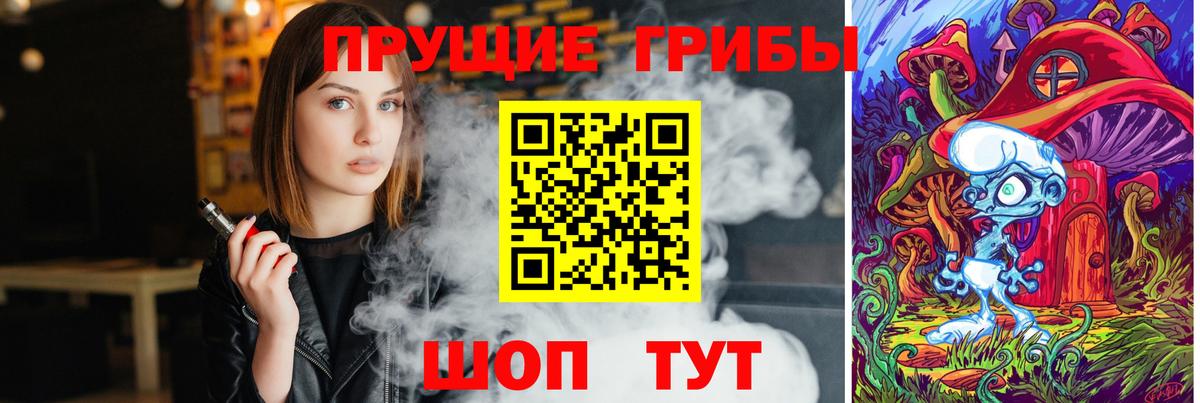 Галлюциногенные грибы GOLDEN TEACHER  Вход с VPN  Междуреченск 